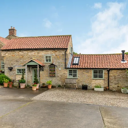 Owl's Nest * Stearsby